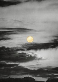 满月夜 (1v2,SM, 霸凌,狗血)
