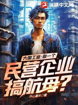 大国工业:你一个民营企业搞航母?
